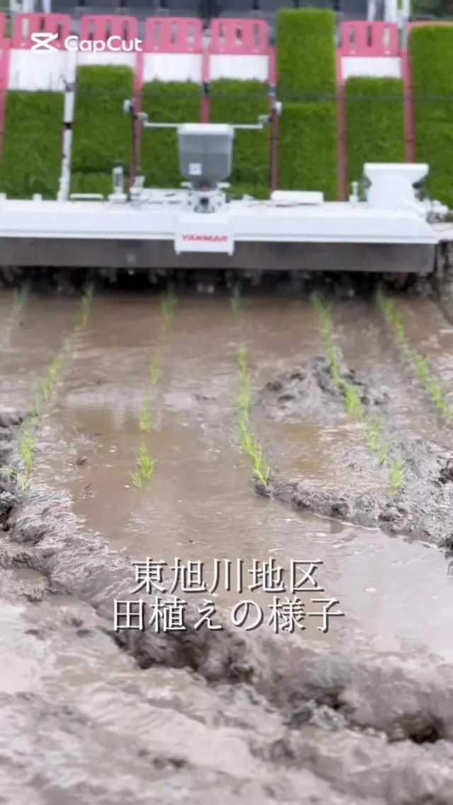 【東旭川　田植えの様子🌾】

こんにちは！
少し遅くなりましたが、東旭川地区の田植えの様子をご覧ください！

今年は株式会社かのFARMさんにご協力いただきました🙇‍♂️
今年導入した自動運転の田植え機による田植えをぜひお楽しみください！！

ご協力いただいた鹿野さん
@shikanoco14 

🔽職員の仕事風景はコチラ🔽
@ja_higaasa.saiyou 

#ja東旭川 
#農協 
#農業
#田植え
#農作業
#お米 
#北海道米 
#国消国産