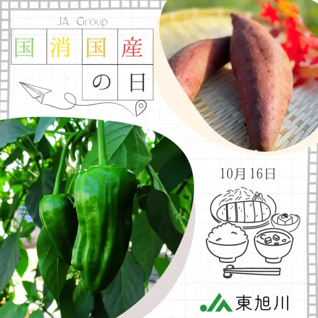 【今日は何の日？】

こんにちは！
今日（10/16）は #国消国産の日 です🍚

国消国産とは、

私たちの「国」で「消」費する食べ物は
できるだけこの「国」で生「産」する

ということです！

国産食材を食べることは生産者を応援することにもつながります🍅🥦
今日の食卓は国産食材をもう１品取り入れませんか？？

#ja東旭川 
#jaグループ 
#国消国産 
#農業